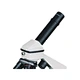 Basic Light Microscope